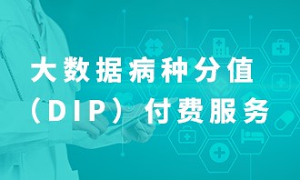 大数据病种分值(DIP)付费服务